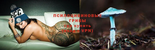 PSILOCYBIN Надым