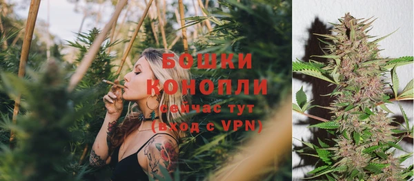 метадон Нея