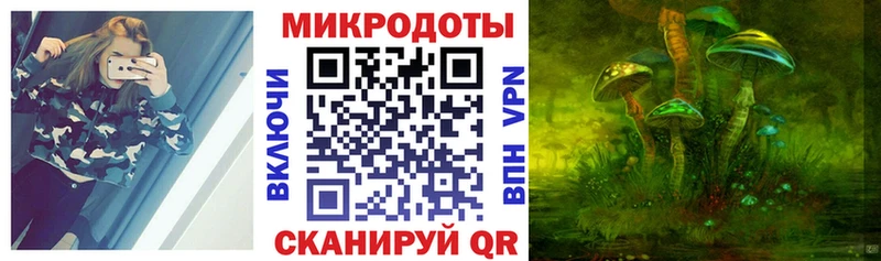 mega ONION  Ялуторовск  Псилоцибиновые грибы мицелий 