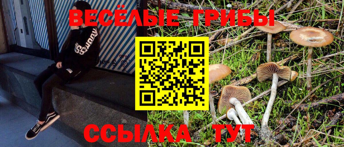 Ялуторовск  Галлюциногенные грибы ЛСД  Вход с VPN  Псилоцибиновые грибы MAGIC MUSHROOMS 