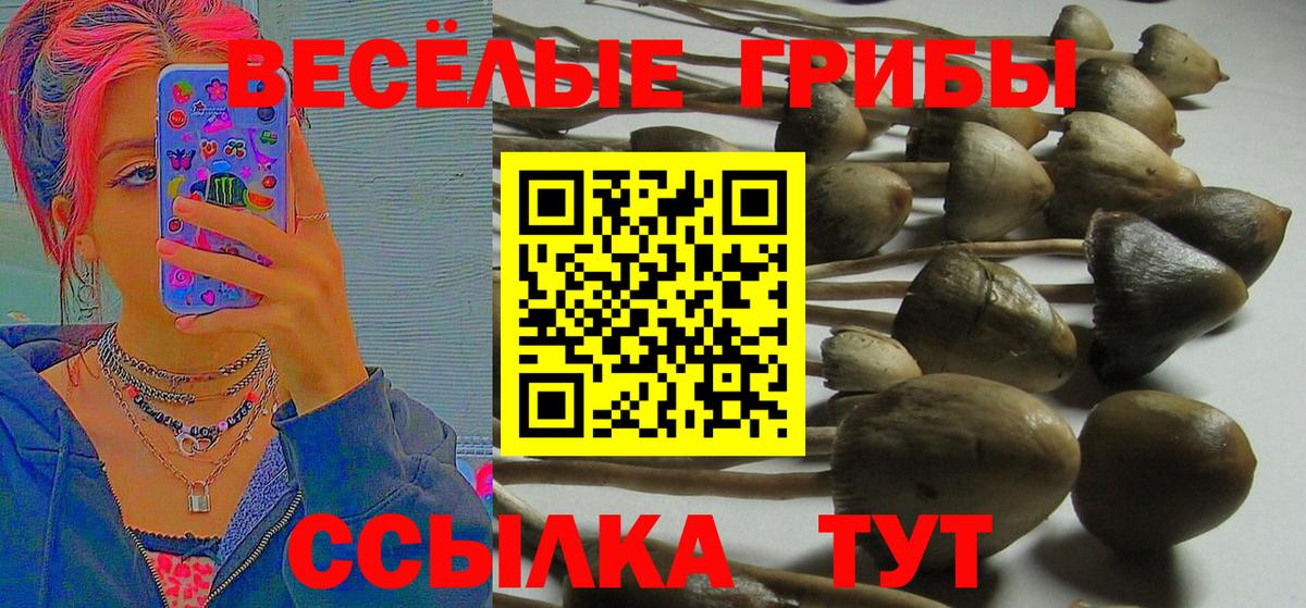Псилоцибиновые грибы мицелий Ялуторовск
