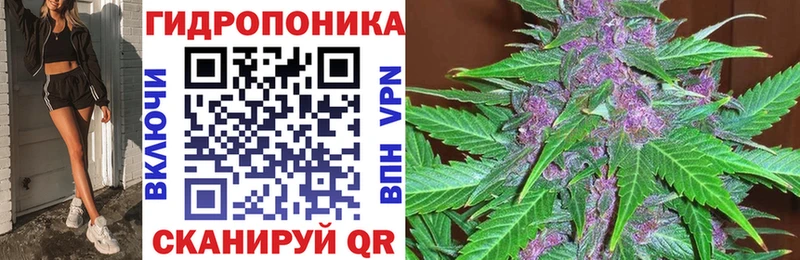 Бошки Шишки SATIVA & INDICA  Ялуторовск 